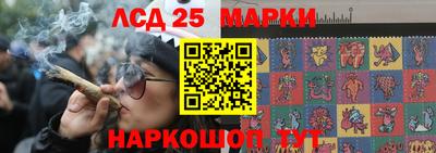 прущие грибы Будённовск