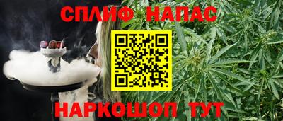 прущие грибы Будённовск