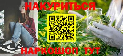 прущие грибы Будённовск