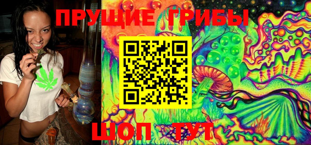 Кызыл  Галлюциногенные грибы GOLDEN TEACHER  Вход с VPN 