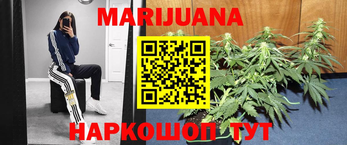 Конопля ГИДРОПОН Кызыл